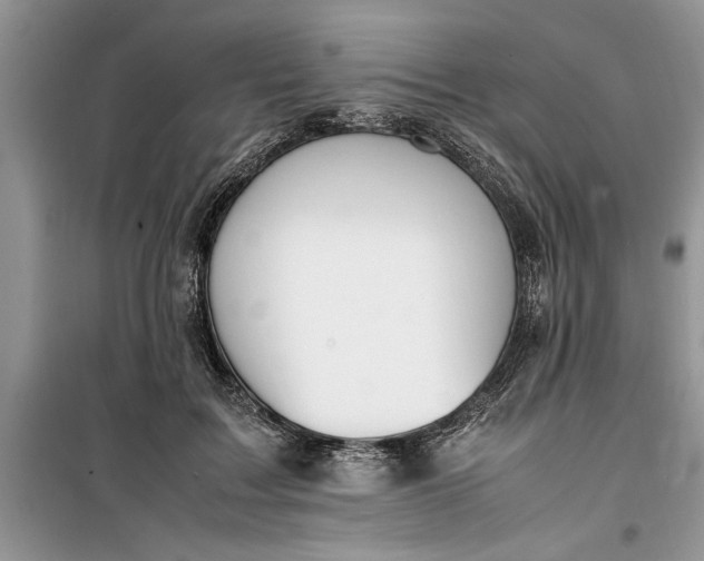 X0000099510603200805291151