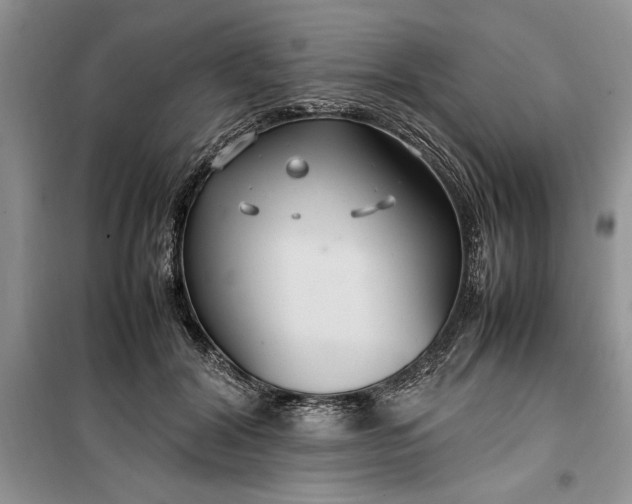 X0000099510604200805291151