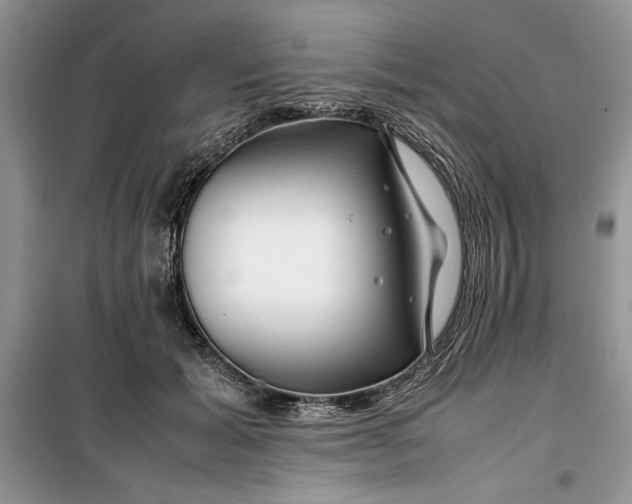 X0000099510605200805291151