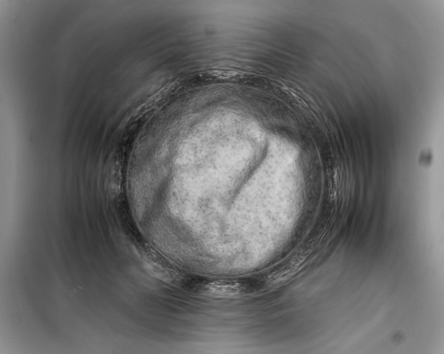 X0000099510606200805291151