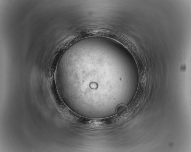 X0000099510607200805291151