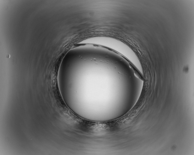 X0000099510609200805291151