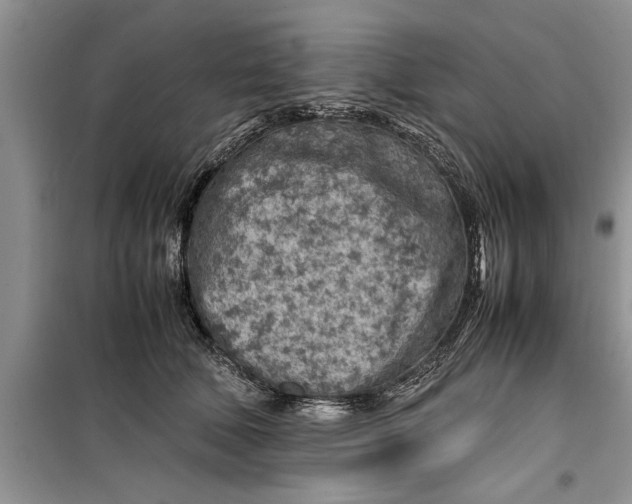 X0000099510610200805291151