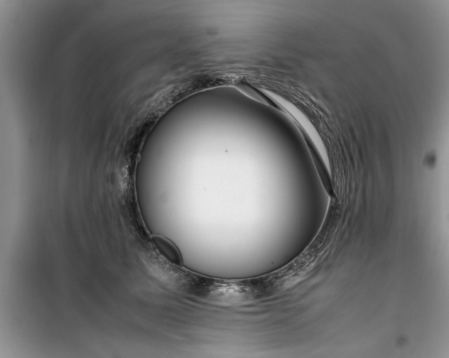 X0000099510611200805291151