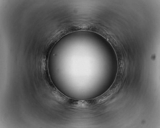 X0000099510612200805291151