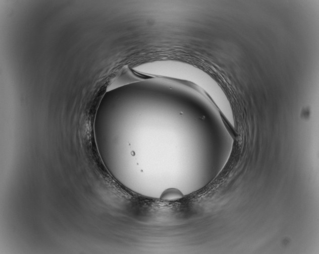 X0000099510613200805291151