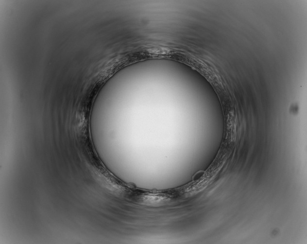 X0000099510614200805291151