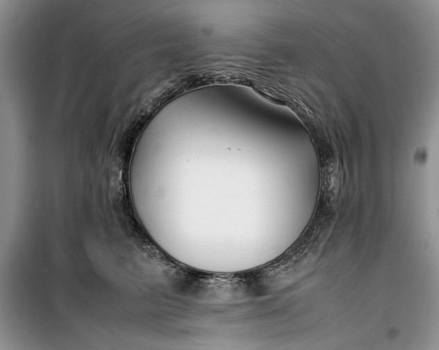 X0000099510615200805291151