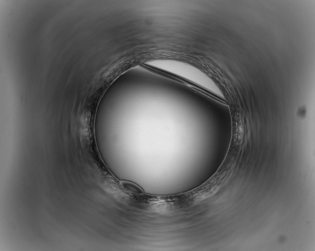 X0000099510616200805291151