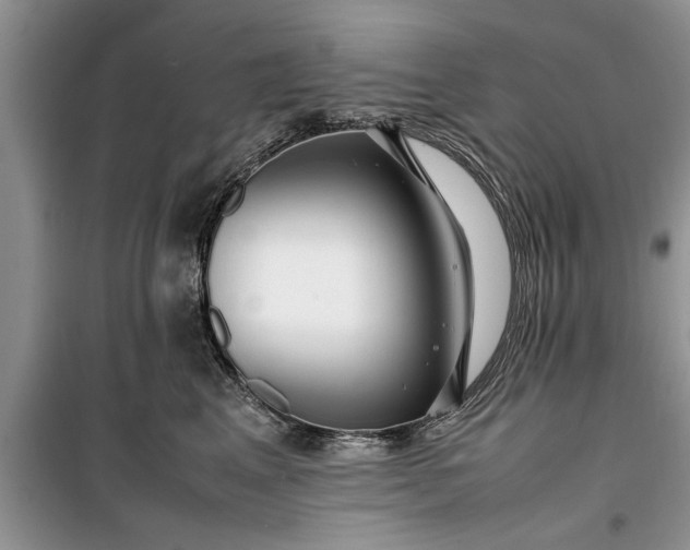 X0000099510617200805291151