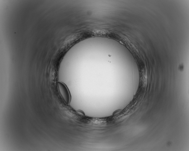 X0000099510619200805291151