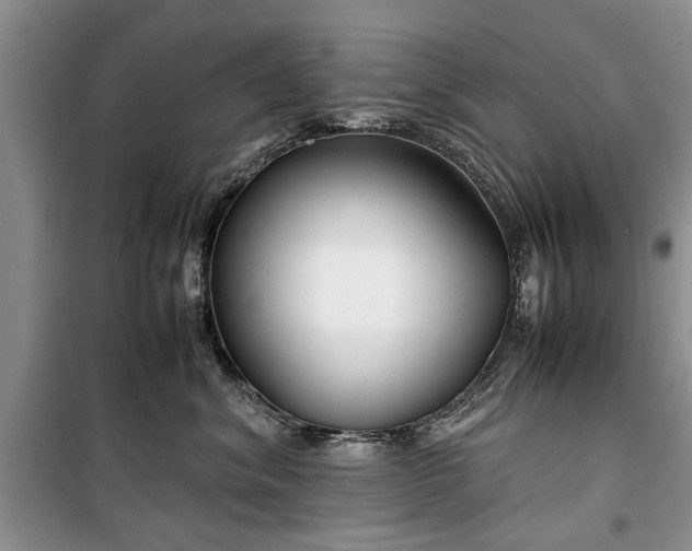 X0000099510620200805291151