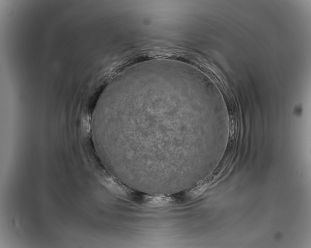 X0000099510621200805291151