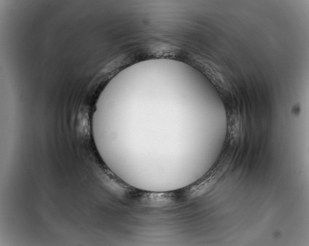 X0000099510622200805291151