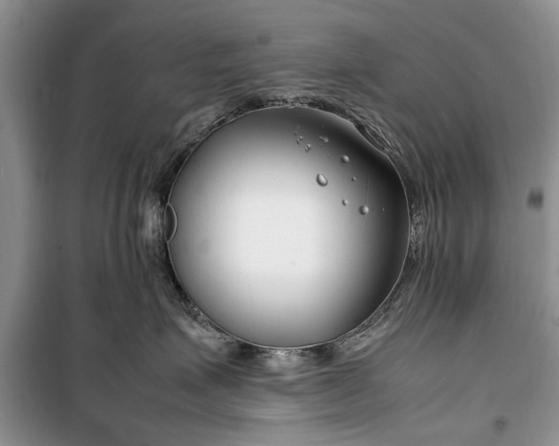 X0000099510623200805291151