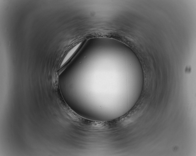 X0000099510624200805291151