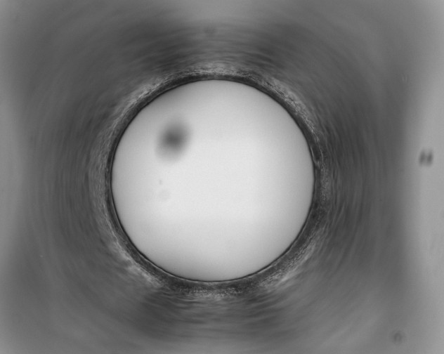 X0000099510625200805291150