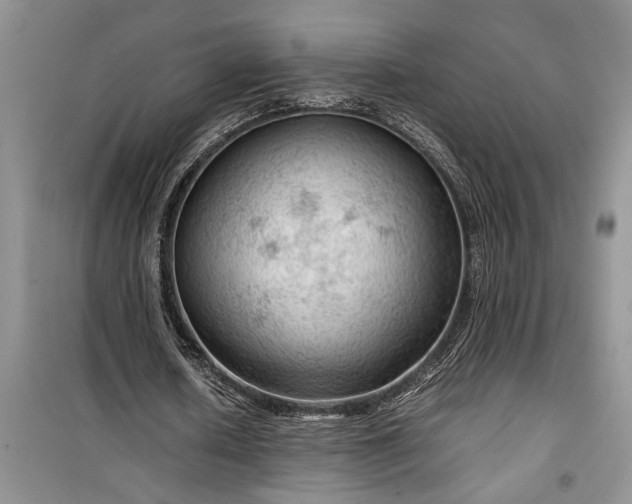 X0000099510626200805291150