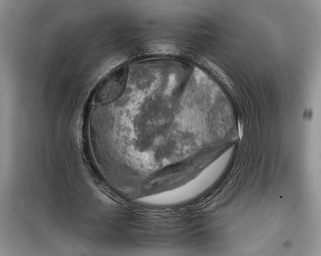 X0000099510627200805291150