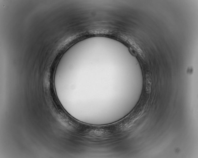 X0000099510631200805291150