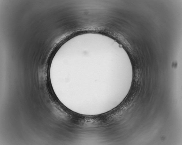 X0000099510632200805291150