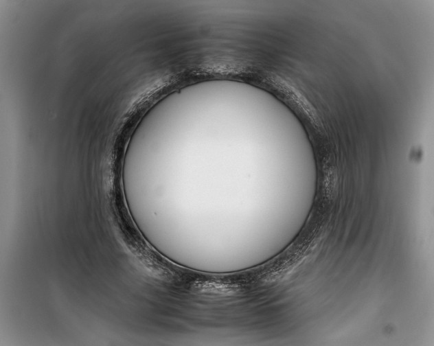 X0000099510635200805291150