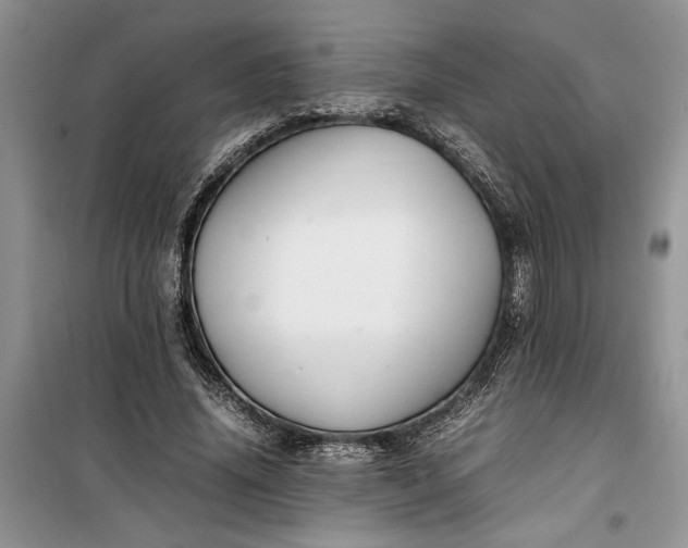 X0000099510636200805291150