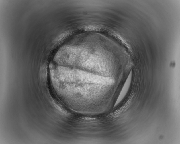 X0000099510637200805291150