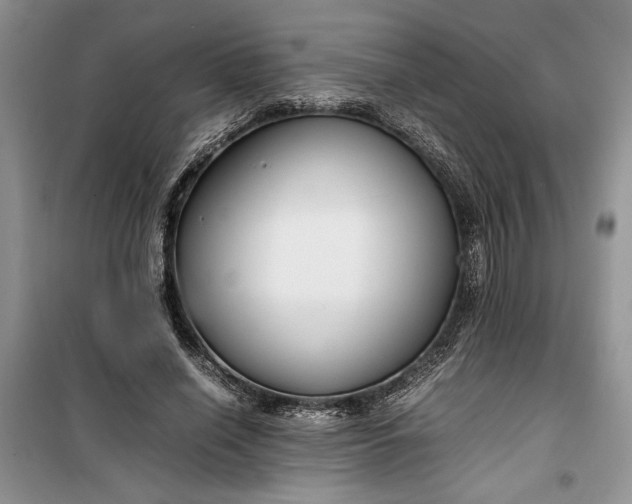 X0000099510638200805291150