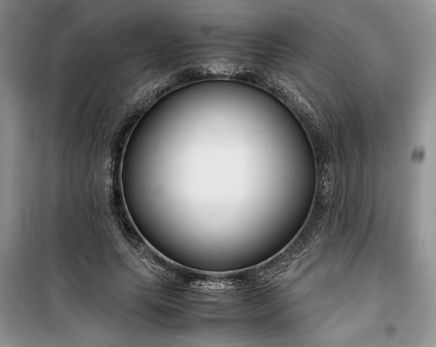 X0000099510639200805291150