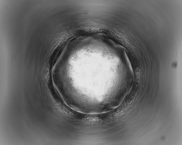 X0000099510642200805291150