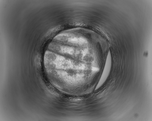 X0000099510643200805291150