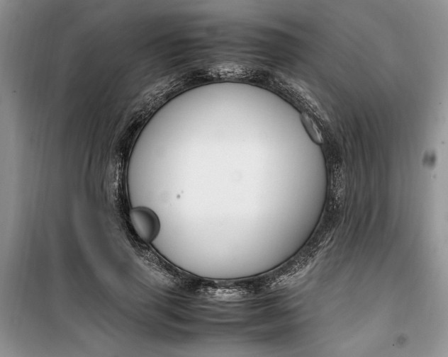 X0000099510645200805291150