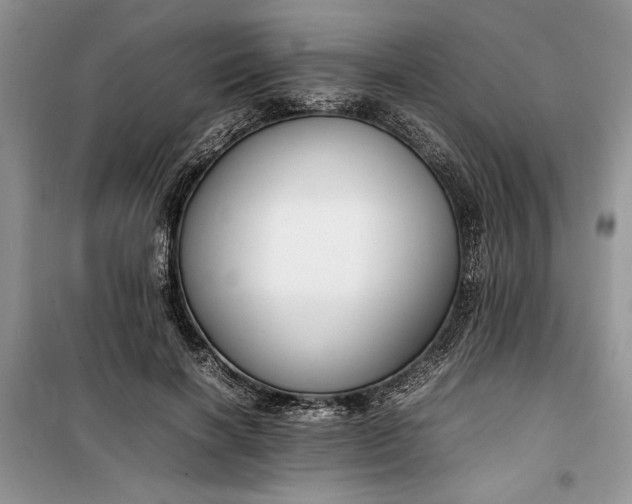 X0000099510646200805291150