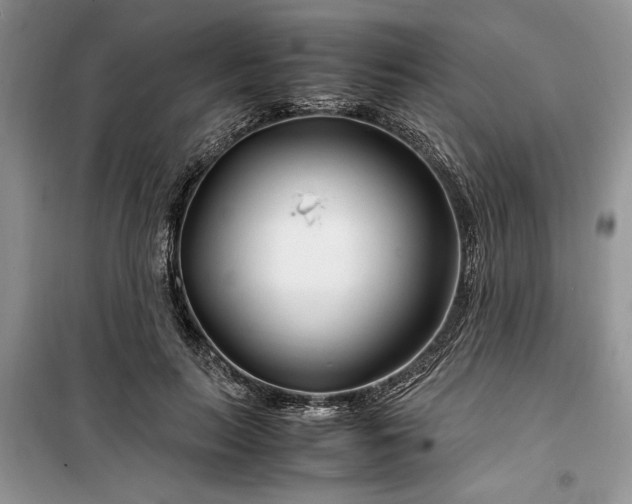 X0000099510647200805291150