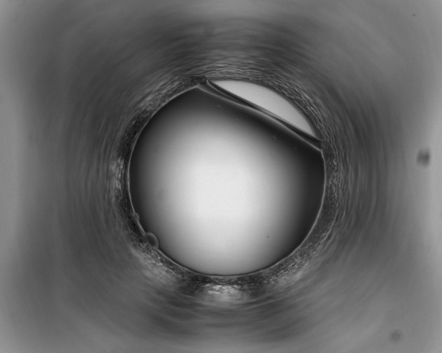 X0000099510649200805291150