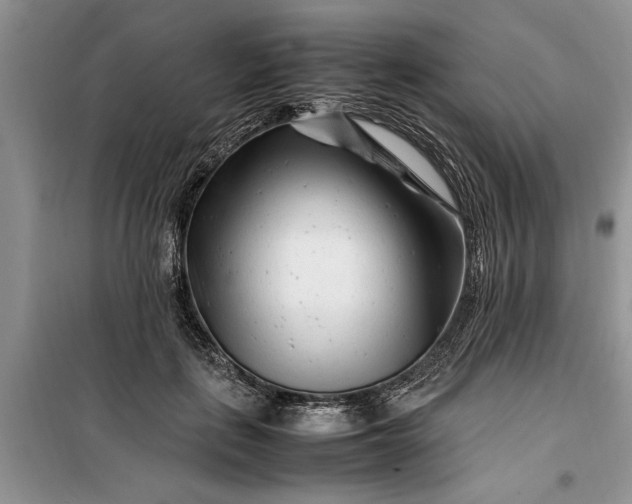 X0000099510651200805291150