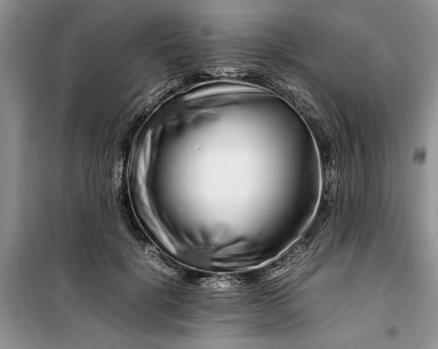 X0000099510652200805291150