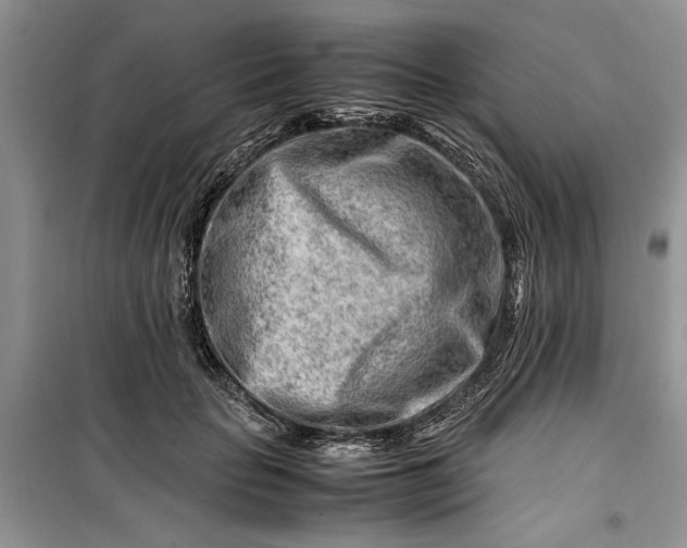 X0000099510653200805291150