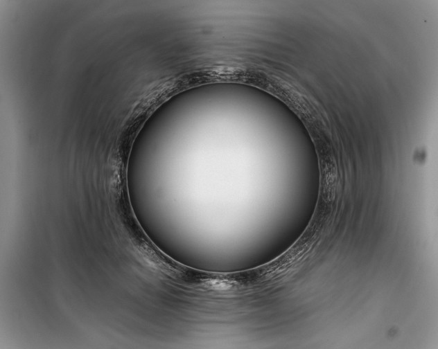 X0000099510654200805291150