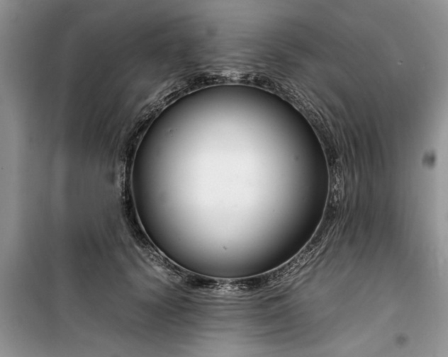 X0000099510656200805291150