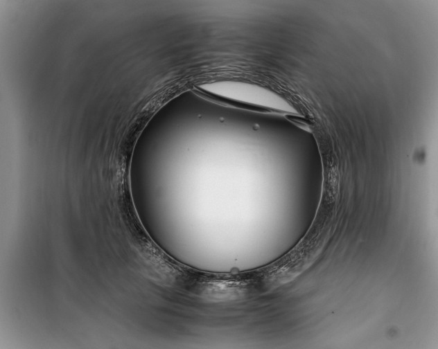 X0000099510657200805291150