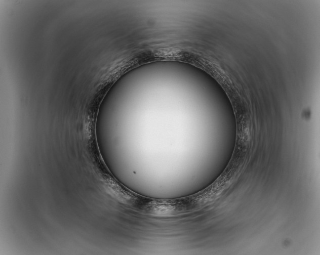 X0000099510658200805291150