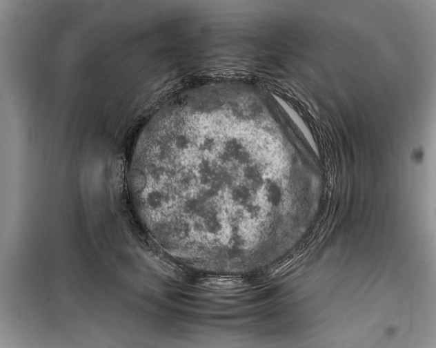 X0000099510659200805291150