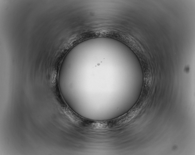 X0000099510660200805291150