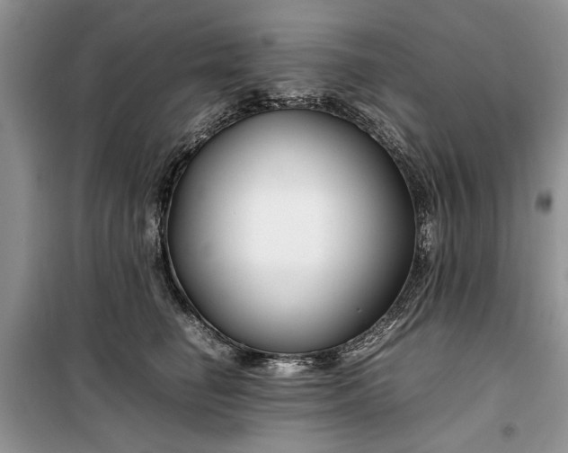 X0000099510662200805291150