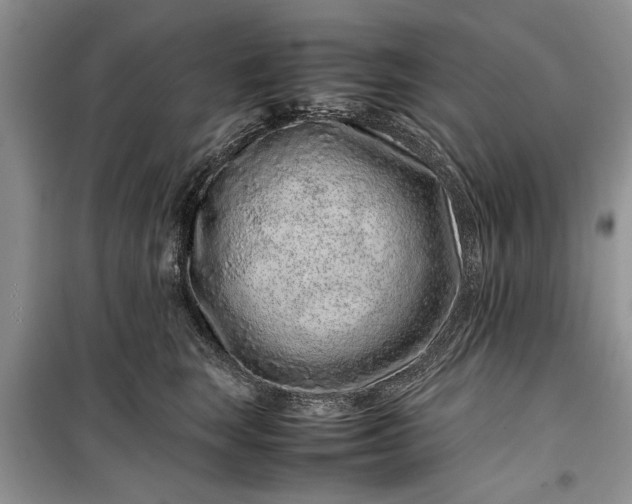 X0000099510663200805291150