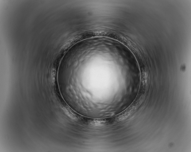 X0000099510664200805291150