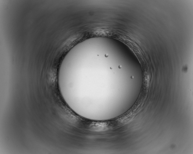 X0000099510665200805291150