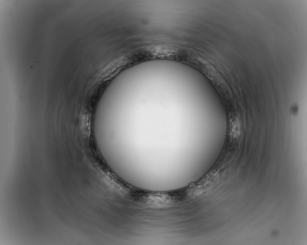 X0000099510666200805291150